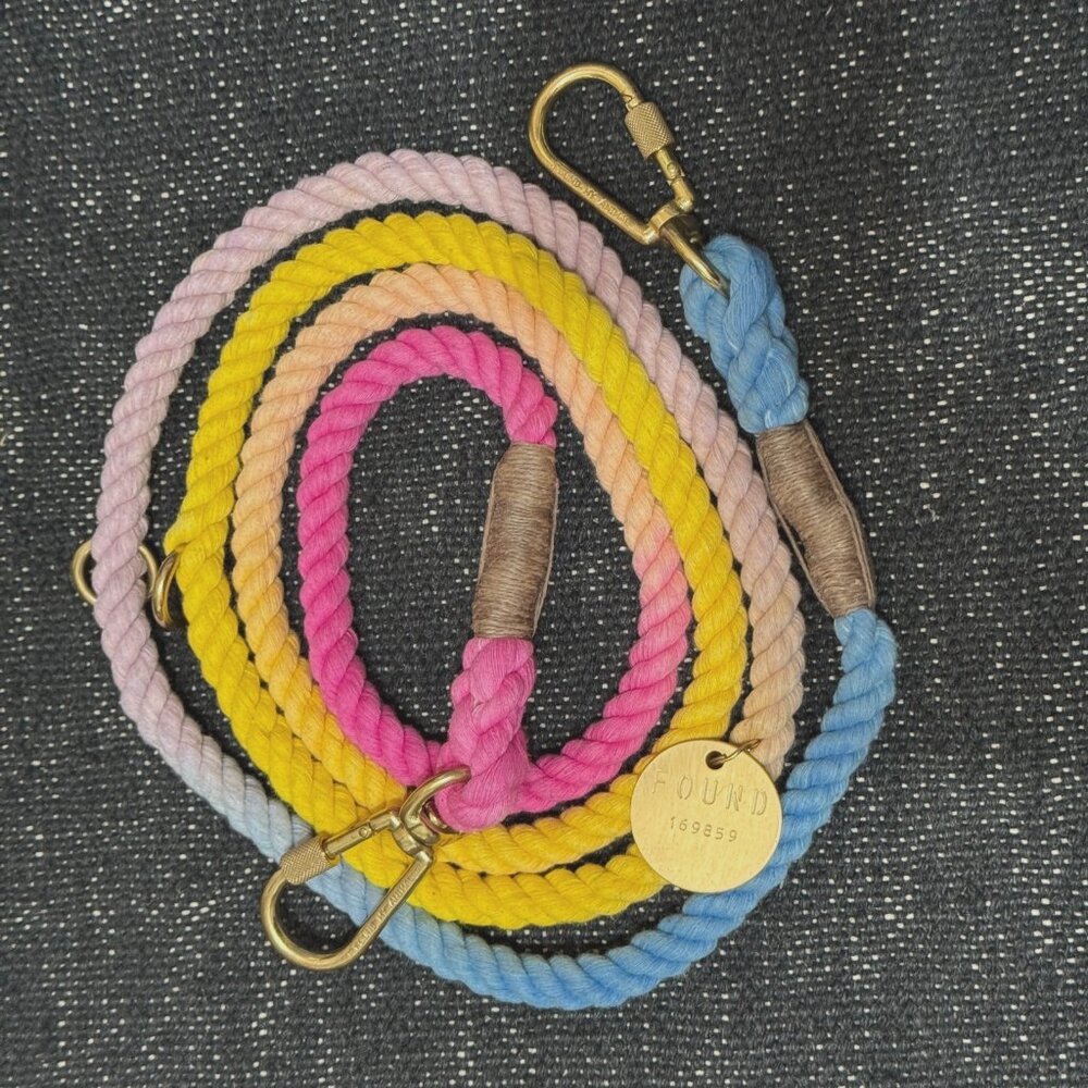 Found My Animal Adjustable Rope Dog Leash, 7 feet, Ombre Rainbow